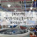 부산시수협자갈치수산물위판장 | [보성여행] 보성회천수산물위판장_보성수산시장