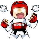 국가대표 아라태권도 이미지