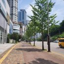 동탄보건지소 | [동탄1] 동탄 보건지소 임시 선별 진료소 다녀온 후기