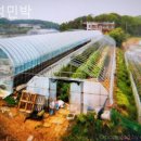 신성민박 이미지