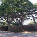 망산공원 이미지