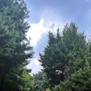 수원-0934 이미지