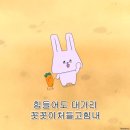 카페 영(Cafe Young) | 절거운 추석 연휴 ) 광주 나들이 , 꾀꾀로 &amp; 브레드영 &amp; 동명동 카페 아베크투와