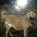 김만수농장 이미지