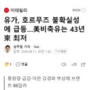 미제 전략비축유 1983년 이후 최저치 기록! 에네르기 대란이라 ㅎㅈ? 이미지