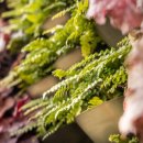 크루모터스 이미지