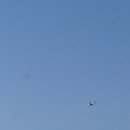 코브나인 이미지