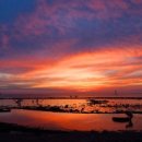 이호조아 이미지