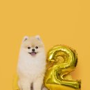 놀스튜디오 - 화성시 동탄순환대로12길 12 | 놀스튜디오