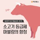 3월 10일(화) 출석부-소고기 등급제 마블링의 함정 이미지