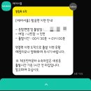 민트젤리 | 나트랑 깜란공항 출국 에어서울 민트익스프레스 탑승 후기
