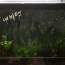 준영파파네 이미지