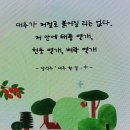 나의 동네 슈바이처 이미지