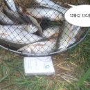 증산민박 이미지