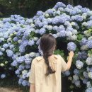 러브헤이미쉬 | 𝐎𝐏𝐄𝐍/ 정규마켓 데이지원피스 🌼, 프리미엄라인 HMC 린넨가디건, 헤이미쉬클로짓