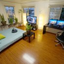 블루민박 이미지