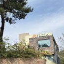 장미로(대로3-12) | 플로라산후조리원 | 분당 산후조리원 추천, 초산맘 내돈내산 찐만족 후기, 컴포트룸, 가격, 웰컴선물