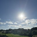 알지니포레스트 이미지