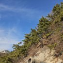 동선새바지 이미지