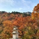 양양 오색리 삼층석탑 이미지