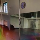 앨리캣폴스튜디오 이미지