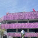 오늘더예쁜눈(오늘The예쁜눈) 이미지