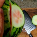 서초그림책도서관 (옥외1) | 주말 일상 | 스카, 도서관, 그리고 시원한 수박 🍉