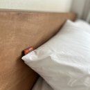 오느레맨션 이미지