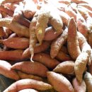 들샘농장 이미지