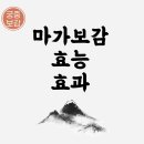 마가 이미지