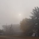 향기로운주유소 이미지