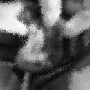 대학로동물병원 이미지