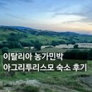 길따라산따라민박 | [이탈리아 토스카나 여행] 농가민박 아그리투리스모 Agriturismo 숙소 후기