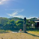 양성 석조여래입상 | 경북 예천 통일신라시대 보물 동본리삼층석탑 석조여래입상