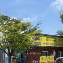 완도 반값여행 후기