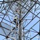 삼성교통㈜ 이미지