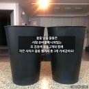 [꽃]2020년 4회차 화훼장식기능사 실기시험 강원지사 춘천 시험장 리얼 후기 및 실기 준비물