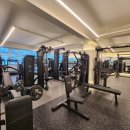 아벨라 짐 이미지