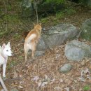 반딧불 가족농원 이미지