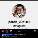이솝어린이집 | 펜션,도심속감성풀빌라,청주아기랑가볼만한곳, 청주펜션, 천안풀빌라,세종풀빌라,송절동아이기억,igieok