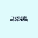 국민성장펀드 AI 반도체 투자 훈풍과 TS인베스트먼트 추가상장(CB전환)의 나비효과