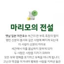카페마리모 이미지