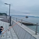 해당화펜션 티스토리
