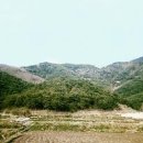 내서읍480 이미지