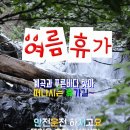 오늘의운세 - 8월1일 이미지