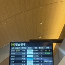 굿모닝 힐하우스 | 여행 ep.4] 1월 시드니 여행(요치, 로얄보타닉 가든, 시드니 스투시 티셔츠, 옵저버토리 힐, 바 토티 예약)