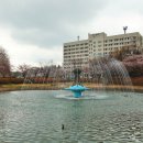 경북대학교 이미지