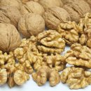 장수 발전소 이미지