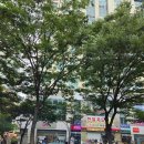 스파바움 부천 신중동 전신관리 후기