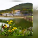 물결치는 달빛 (  이미지